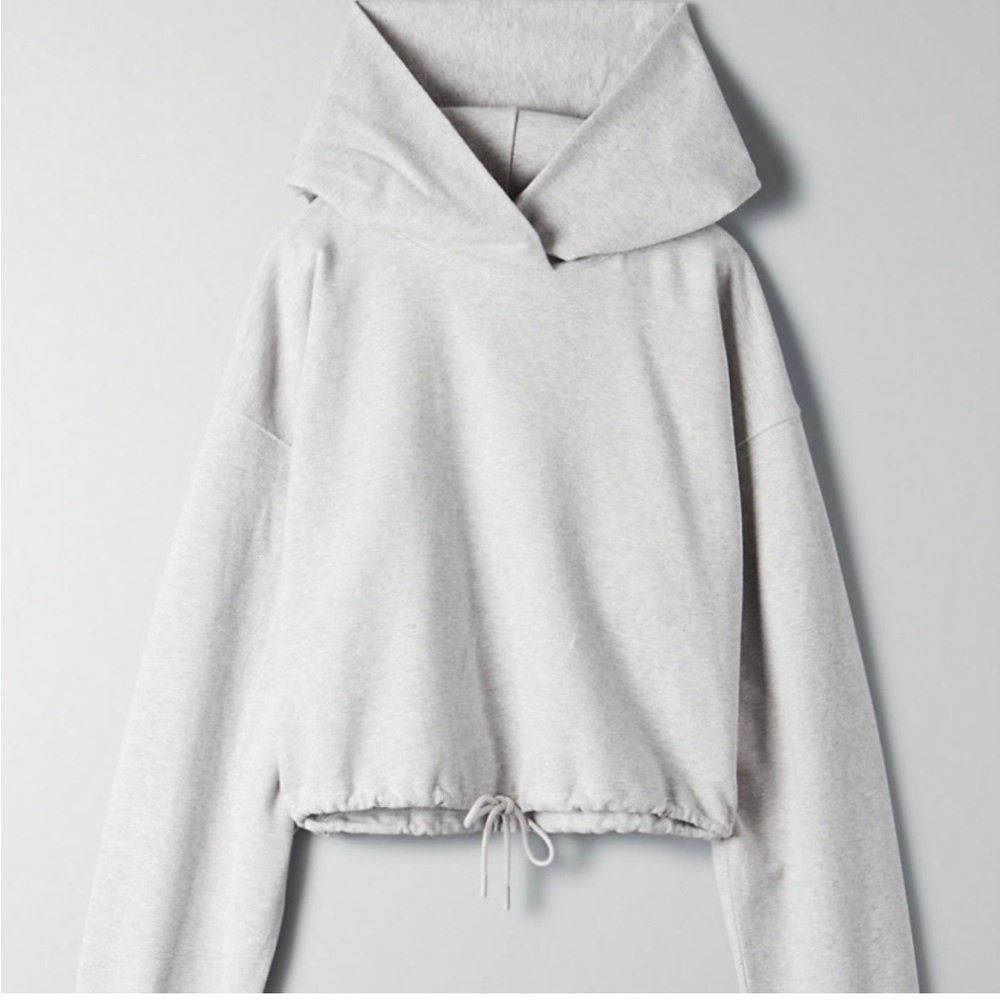Aritzia Babaton Hoodie